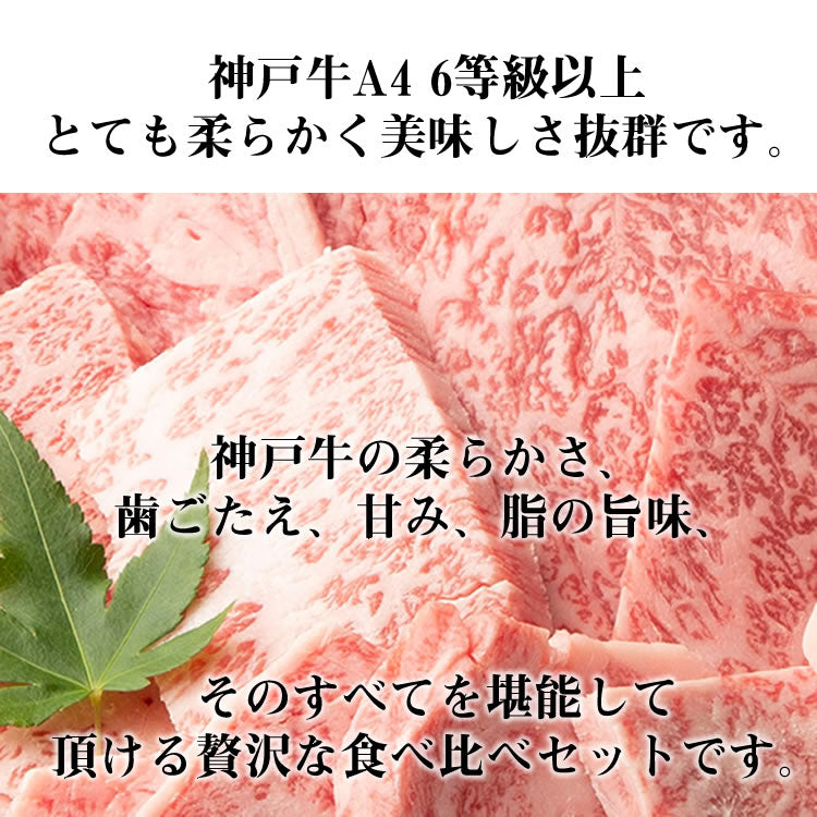 神戸牛 特選霜降り焼肉セット 5点盛り 食べ比べ ロース・肩ロース